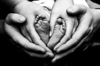 IMG_4517x